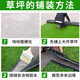 Kaosen Fireproof simulated turf, artificial turf, plastic fake turf, kindergarten school, green carpet, sun room insulation, 1cm adhesive-free engineering grass/whole roll, 50 square meters, no zero cutting
