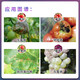 Fumei Shipu hyacinide iprodione tomato apple grape early blight spotted leaf disease gray mold fungicide pesticide 15ml