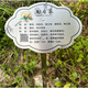 Customized stainless steel tree sign scenic spot plant greening flower sign tree introduction hanging sign ground sign 20x15cm