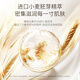 Kangaroo Mommy's body lotion for pregnant women, wheat germ fresh extract, moisturizing, tender and accurate pregnancy skin 50g