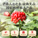 雷允上云南文山三七粉250g 药典标准 中药饮片级 用于散瘀止血 消肿定痛 外伤出血 跌扑肿痛中老年滋补品