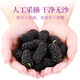 Gongyuan's special grade large fruit dried mulberries 500g selected Panzhihua sand-free wolfberry longan chrysanthemum tea health tea