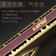 Easttop德国原装进口口琴高级成人24孔专业演奏级28孔复音CAFG调初学者套 24孔 复音银色【12调套装】