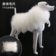 Black Bird Pet Professional Beauty Simulation Fake Hair Model Teddy Ram VIP Head Model Fake Dog Model Skeleton Practice Special Body Hair Film