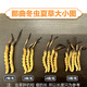 东仔【西藏那曲】野生冬虫夏草高海拔野生虫草断草滋补品礼盒送长辈 【西藏那曲野生】小号断草-自用滋补 5克（礼盒装）