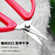 Daji stainless steel scissors, gray thick toenail scissors, electronics factory short head scissors, manicure scissors