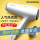 Borui feike sèche-cheveux ménagers haute puissance 2000w de vitesse de vent élevée dortoir dortoir à température constante de température capillaire tube d'air fh6232 fh6231