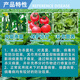 Viral disease special medicine package fungicide tomato cucumber pepper small leaf mosaic yellow leaf curl virus disease nemesis viral disease nemesis 100g*5 sets