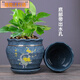 MPPMCK Neuer Blumentopf Keramik mit Tablett einfache neue chinesische Stilbalkon grüne Pflanze Orchid -Topf Sukkulente Blumentopf Grau 7170 Glück Ein Keramikmedium