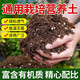 Universal plant nutrient soil for growing vegetables, succulent pothos seedlings, fertilizer soil for flowers, organic soil 2Jin Jin is equal to 0.5kg, selected high-grade nutrient soil, universal type
