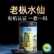 天池茶叶凤凰单丛乌龙茶老枞水仙高山有机单枞茶春茶新茶罐装送长辈 老枞水仙 100g*1罐