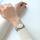 
ARMANIA watch women's nickname star series steel belt quartz fashion diamond-set women's wrist AR11150