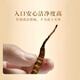Cordyceps gift box selection of high-altitude Cordyceps unbroken grass high quality gifts for self-eating nourishing and health care Tibet Nagqu Cordyceps 2 roots 1g total 10 pieces