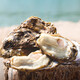 Fresh oysters 230-330g/piece