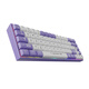 Ajazz AK680 Clavier mécanique filaire, capuchon à double clé, clé 68, berceau à chaud, clavier mécanique personnalisé, effet d'éclairage de couleur mixte, portable et compact, violet et blanc, rouleau de thé