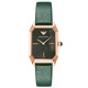 Emporio Armani Watch Woman Shows Star Styles, European and American Light Luxury Quartz Female Femme, Gift de la Saint-Valentin pour la petite amie AR11149 (Entrepôt lié à l'entrepôt rapide)