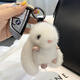 Draco Mink Plush lindo Internet Celebrity Rabbit colgante Decoración de colegas femeninas muñeca para muñecas llavero con llavero