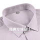 与狼共舞【含桑蚕丝】翻领短袖衬衫男2025夏季新款莫代尔纯色休闲衬衣5009 藕粉422 2XL (185)