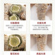 Panax notoginseng price reduction Yunnan Panax notoginseng wholesale 80 heads of authentic Wenshan Panax notoginseng whole Panax notoginseng powder Tianqi dry goods Panax notoginseng slices 100 grams (net weight)