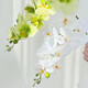 Flower e-flow Phalaenopsis artificial flower fake flower table decoration light luxury high-end flower arrangement dining table floral decoration home decoration ceramic narrow mouth plain white flat bottle