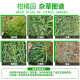 金帆达金帆达 757草甘膦铵盐草甘磷 柑橘园杂草除草农药烂根除草剂农药 8kg