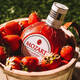 Mozart Schokoladencreme Likör Österreicher importierter Likörwein Fremdwein leicht betrunken Frauen Wein Mozart Erdbeer weiße Schokolade Likör 500 ml