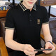 OUMEITI Summer Turny Silk Lapa de seda Polos de camiseta para hombres para hombres 2025 Nuevo estilo con cuello de manga corta QDT-P717 Black XL (130-145Jin [Jin equivale a 0.5 kg])