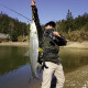 
DAIWA 21 new product ZILLION Zilong competitive lure rod single rod competition high carbon long-range cast carbon lure fishing rod regular model - 682L/MLFB-ST (2.03m gun handle