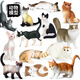 
Oenux simulated cat model toy ornaments for children's solid animal set yellow cat bobtail cat black and white big cat gift M-290+719+718 (3 cat sets)