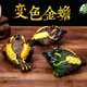 Yunhua tea pet ornaments can raise wealth, color-changing golden toad, tea set accessories, creative Kung Fu tea set, tea play toad, color-changing tea pet, color-changing golden toad-gold