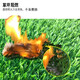 Duoxiu, artificial lawn carpet, plastic fake turf, artificial turf balcony, outdoor artificial turf, kindergarten fake turf, 2cm special grade raw material spring grass, 1.5 meters wide, take a few pieces to get a few meters, high grade
