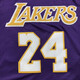 He Jiagong Kobe No. 24 commemorative purple jersey Lakers retro embroidered basketball uniform men's and women's sports and leisure vest S