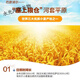 面粉内蒙古剂雪花粉饺子馒头10斤巴盟特产9月份日期 新国标1355-2021雪花粉10斤