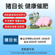 Pig day length veterinary growth hormone fattening pig fattening weight gain growth promotion concentrated feed piglet premix fattening agent pig day length 5kg/barrel