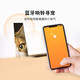 PETKIT Pet Smart Cat Tag Dog Tag Intelligent Motion Detection Wearable Device Bluetooth Collar Dog Tag-M