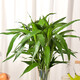 Flowers bloom and prosper, prosperous bamboo hydroponic plants 10 branches