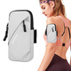 
Queen's Running Mobile Phone Arm Pack for Men and Women Outdoor Mobile Phone Bag Thin Arm Bag with Mobile Phone Sports Arm Pack Wrist Pack Waterproof Black 6.7 inches