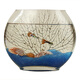 Fanbaiku creativo de peces de vidrio plano de boca plana ovalada, peces de pescado de oro de vidrio transparente ultra blanco mini acuario pequeño escritorio de escritorio 20 peces planos + piedras de colores