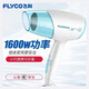 Borui Feike Hair Dryer Foldable Fan Negative Ion Hair Care Student Dormitory High Power Barber Shop Hotel Blower FH6223 1600W Foldable with Negative Ions