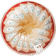 凰鎏燕【检科院精选】孕妇燕窝干盏印尼7A燕盏老年营养品年货礼盒送礼 100克朔源码燕窝