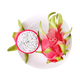 Goodnon Vietnam imported white heart dragon fruit 2 packs medium large fruit single fruit 400g-500g fresh fruit direct from the source