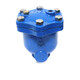 Emike Micro Auspuffventil 9708 Gusseisen Edelstahl Innenteile Automatische Entladung WP1X vertikal mit allgemeinem Auspuff 15-50 Mikroabgasventil DN20 ausgestattet