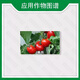 Guoguang Buluo Fangsu 24 2,4-D sodium salt plant growth regulator 2.4-d tomato flower and fruit 1g*100 bags