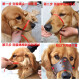 Meiyue pet dog muzzle dog mask anti-bite cover dog dog anti-picking and anti-barking artifact Teddy Golden Retriever safety muzzle brown L large size suitable for 50-80Jin [Jin equals 0.5 kg]