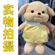 Ou Jianuo süße Cartoon Little Nase Puppe Rucksack Female Pudel Puppe weiches Mädchen Plüsch Mädchen Herz kleiner Rucksack Khaki
