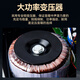 Shanshui T51 Columna de sonido impermeable al aire libre Audio Audio Techo Bluetooth Bluetooth Wall Montada de pared de transmisión pública Tienda de altavoces de altavoc
