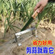 Yue Li's special scissors for cutting garlic. Garlic shearing machine for cutting garlic roots. New knife and garlic head artifact. Household manganese steel thickening tool. Thickening and sharpness - Garlic shearing artifact. 99% labor saving.