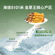 La première courge d'Ayishe Tibet de cordyceps fraîches sauvages sinensis à Nagqu, Tibet en 2025, transportés par l'air et des coffrets cadeaux pour les produits nutritionnels pour les aînés. Herbe fraîche sauvage 1,2 g / racine 30