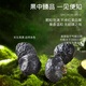 Zhongning Wolfberry, Black Wolfberry Fruit 250G*2 банки, подарки Цинхай Кайдам, подарки старейшин и родители, подарки фестиваля лодок -драконов