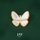 Jay butterfly brooch, high-end female pin, anti-exposure, birthday gift for mother, mother-in-law and elders